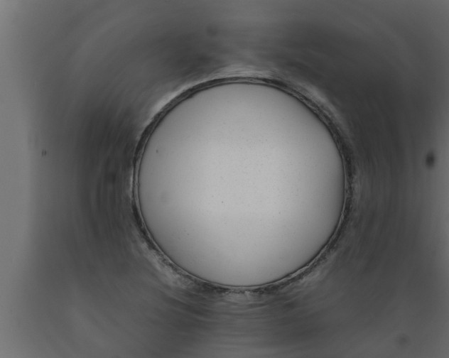 X0000089451220200707061236