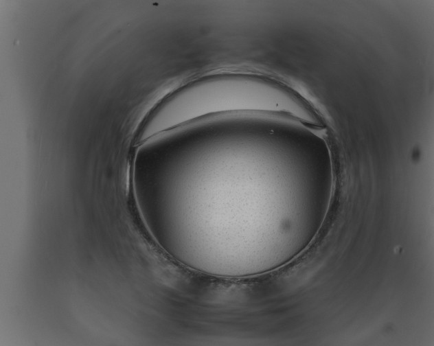 X0000089451221200707061236