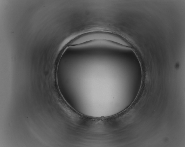 X0000089451222200707061236