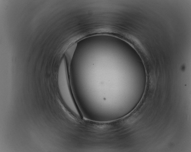 X0000089451225200707061236