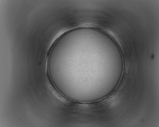 X0000089451227200707061236