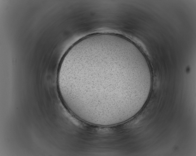 X0000089451231200707061236