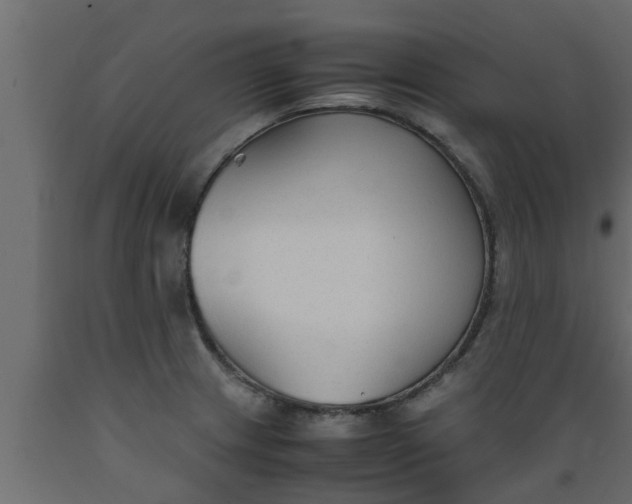 X0000089451233200707061236