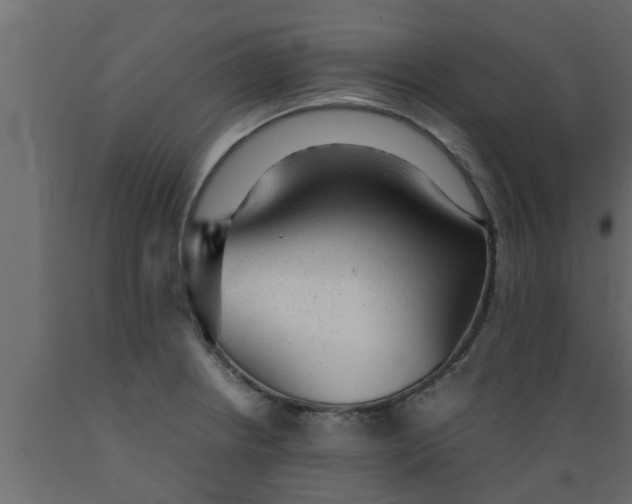 X0000089451234200707061236