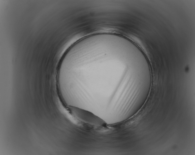 X0000089451235200707061236