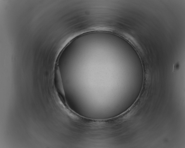 X0000089451236200707061236