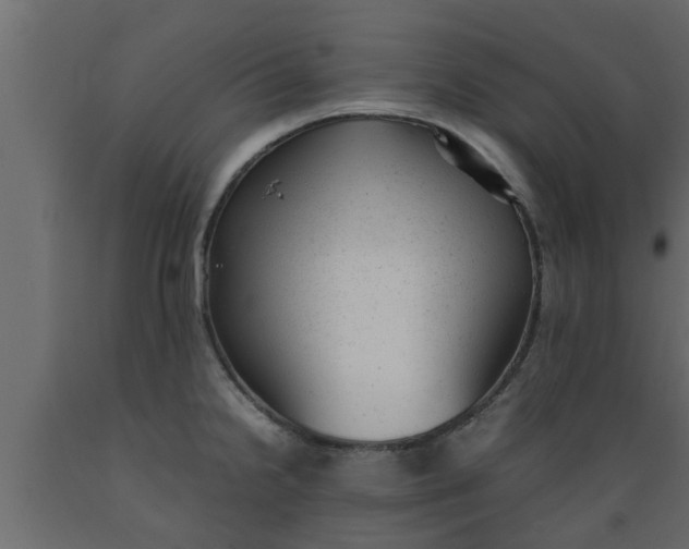 X0000089451238200707061236