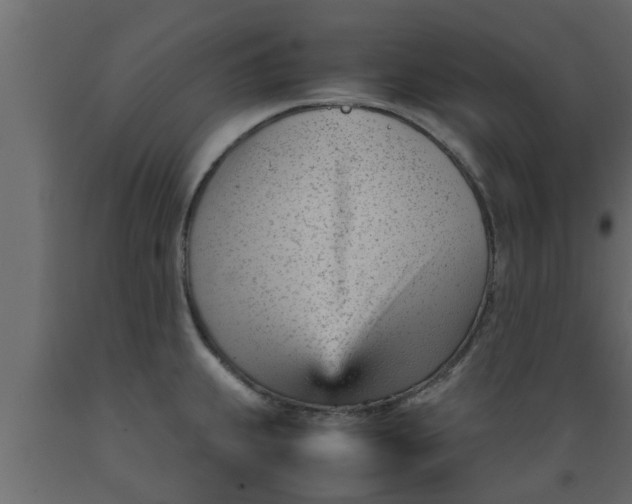 X0000089451239200707061236