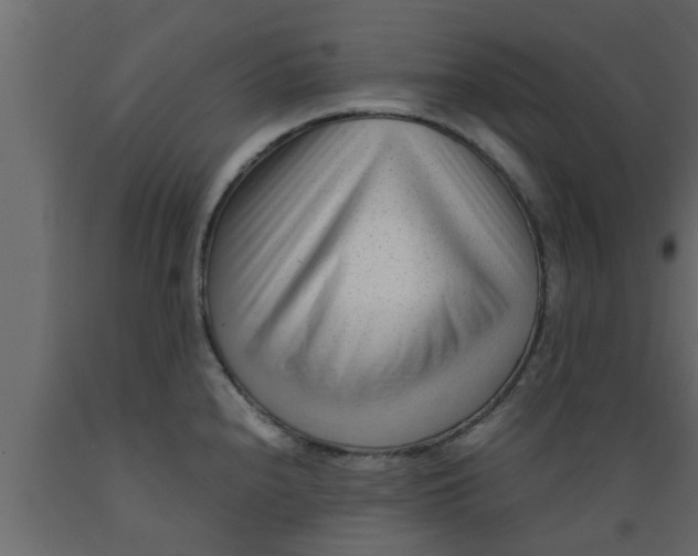 X0000089451240200707061236