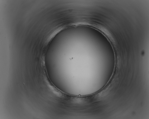 X0000089451241200707061236