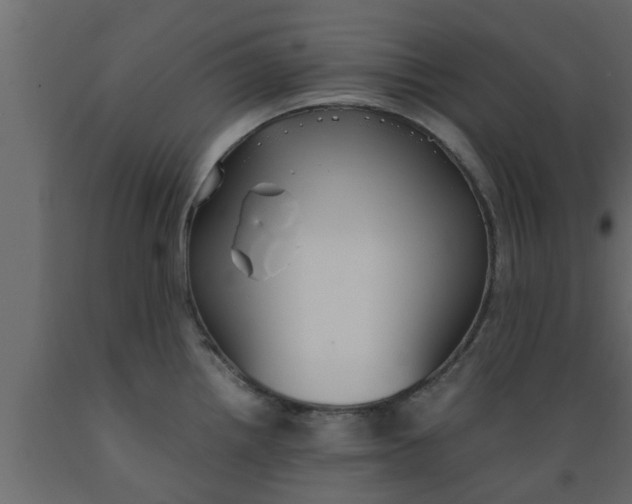 X0000089451242200707061236