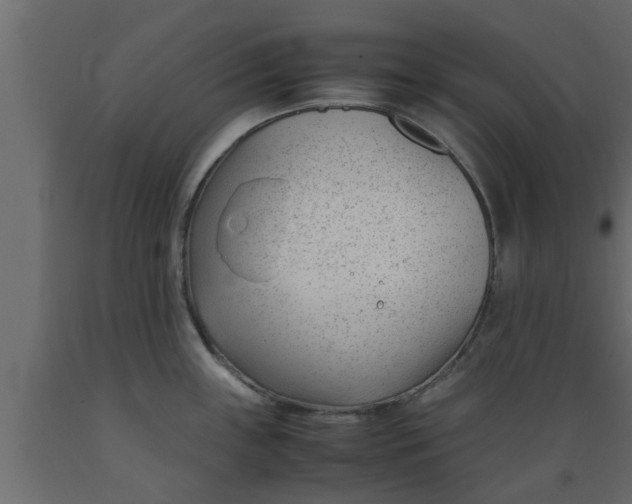 X0000089451243200707061236