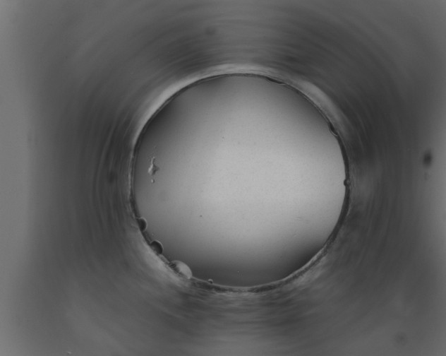 X0000089451244200707061236