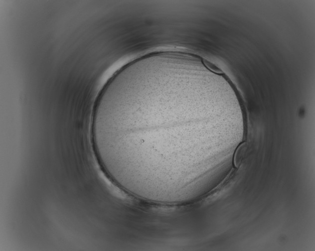 X0000089451245200707061236