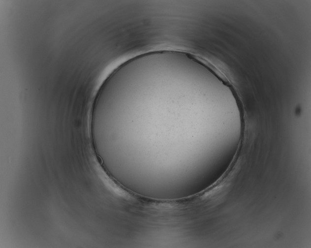 X0000089451246200707061236