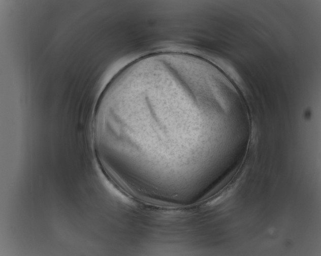 X0000089451247200707061236