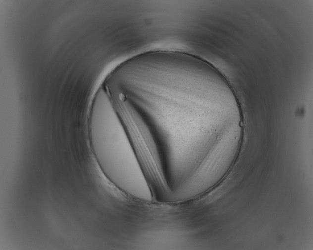 X0000089451248200707061236