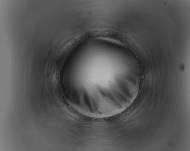 X0000089451250200707061235