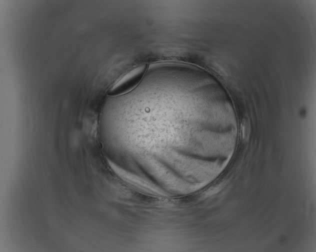 X0000089451251200707061235