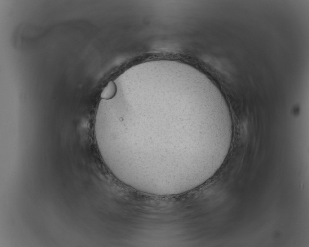 X0000089451254200707061235