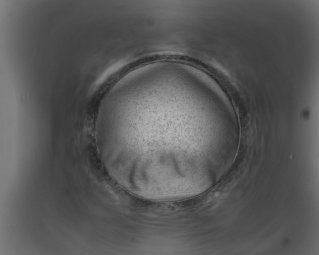 X0000089451255200707061235