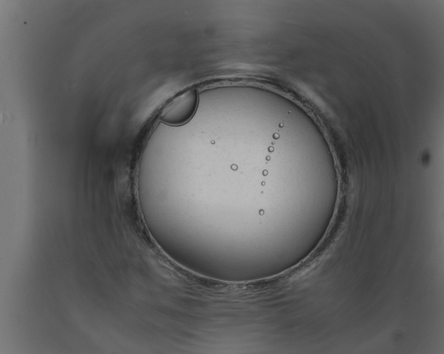 X0000089451259200707061235