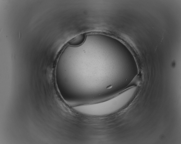 X0000089451260200707061235