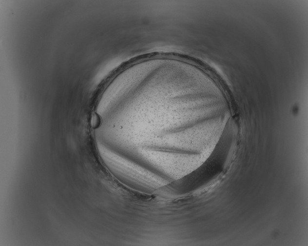 X0000089451263200707061235