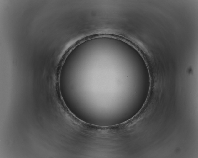 X0000089451264200707061235