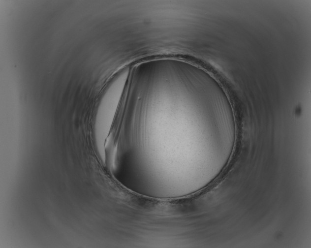 X0000089451265200707061235