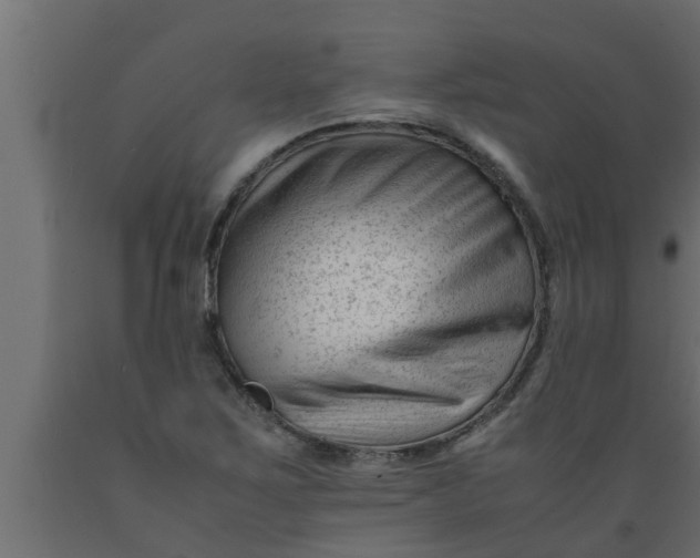 X0000089451267200707061235