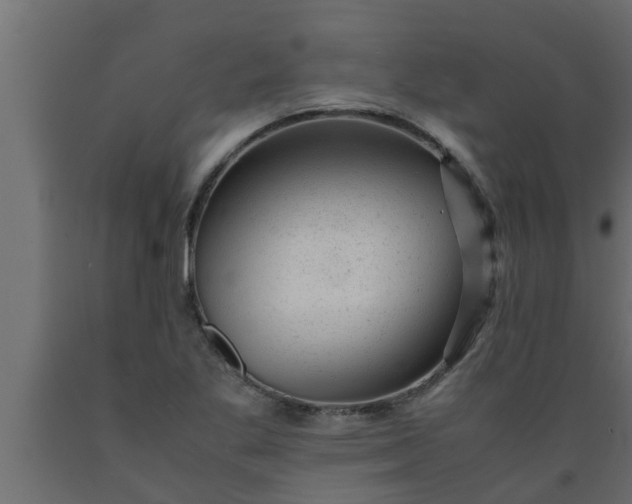 X0000089451269200707061235