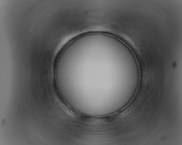 X0000089451270200707061235