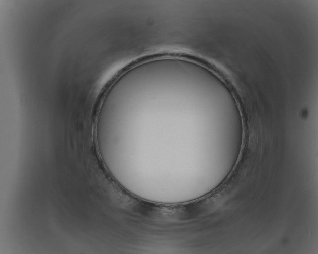 X0000089451271200707061235