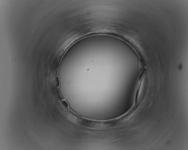 X0000089451273200707061235