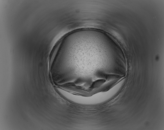 X0000089451275200707061235