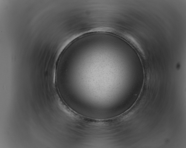 X0000089451276200707061235