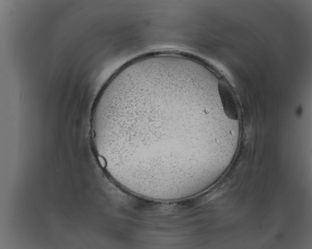 X0000089451279200707061235