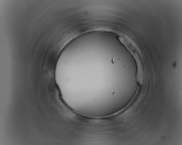 X0000089451281200707061235