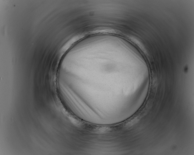 X0000089451282200707061235