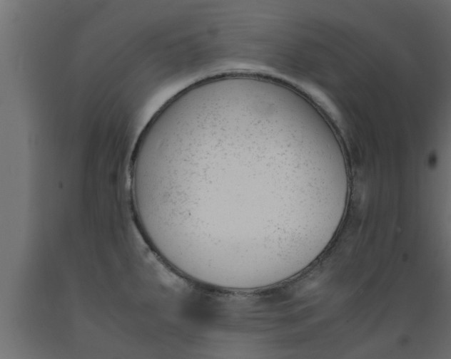 X0000089451287200707061235