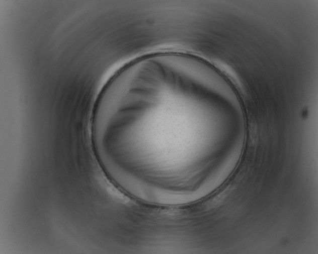 X0000089451288200707061235