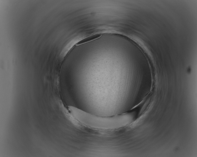 X0000089451289200707061235