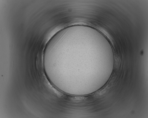 X0000089451290200707061235