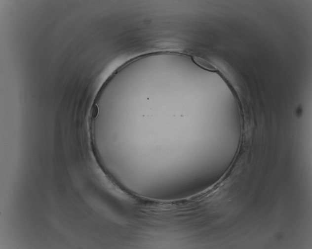 X0000089451291200707061235