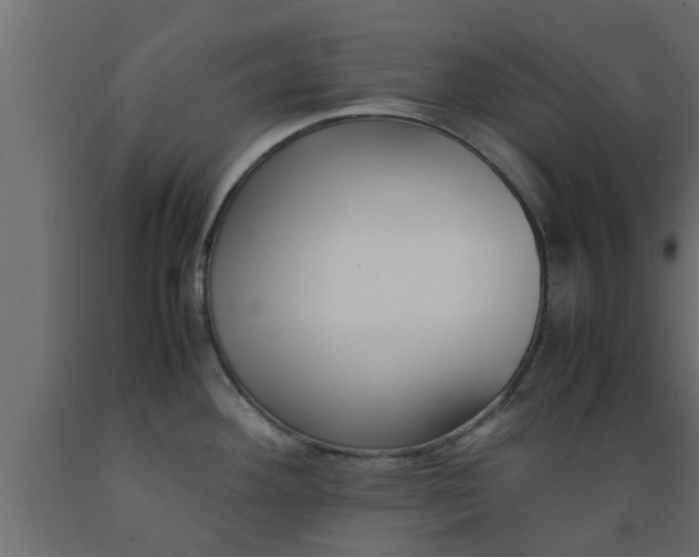 X0000089451292200707061235