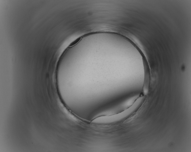 X0000089451293200707061235