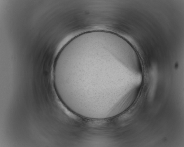 X0000089451294200707061235