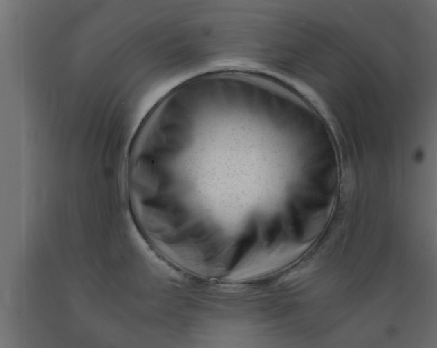 X0000089451295200707061235