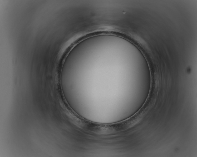 X0000089451318200707061234